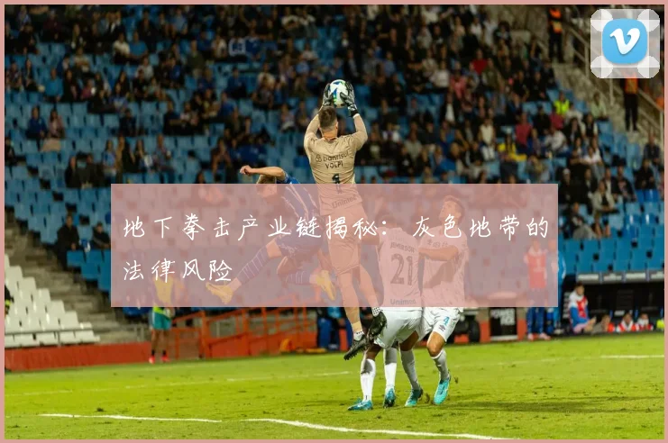 地下拳击产业链揭秘：灰色地带的法律风险