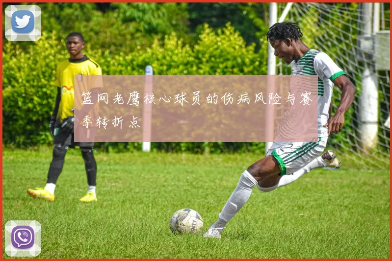 篮网老鹰核心球员的伤病风险与赛季转折点
